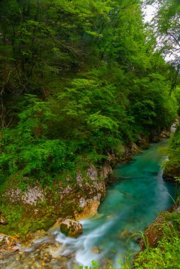 Tolmin vadisi Slovenya 'da bir yaz sabahı boyunca