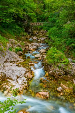 Tolmin vadisi Slovenya 'da bir yaz sabahı boyunca