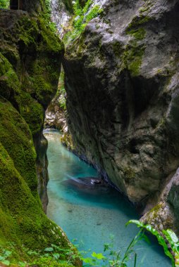 Tolmin vadisi Slovenya 'da bir yaz sabahı boyunca