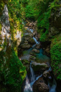 Tolmin vadisi Slovenya 'da bir yaz sabahı boyunca