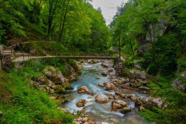 Tolmin vadisi Slovenya 'da bir yaz sabahı boyunca