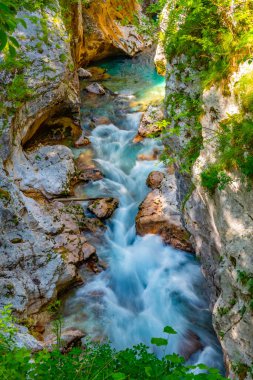 Slovenya 'daki Soca Nehri' nde yaz günü