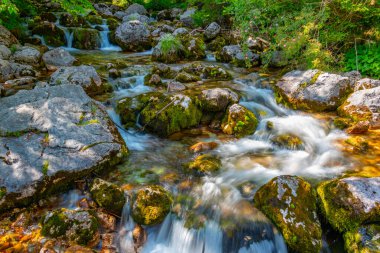 Slovenya 'da Soca Nehri İlkbaharı