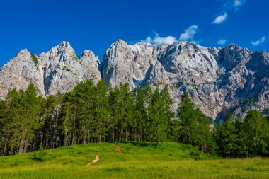 Slovenya 'nın Prik kentinin kuzey cephesinin panorama manzarası