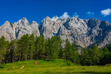 Slovenya 'nın Prik kentinin kuzey cephesinin panorama manzarası
