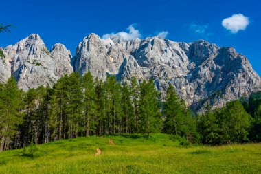 Slovenya 'nın Prik kentinin kuzey cephesinin panorama manzarası