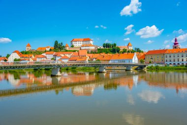 Sloven kenti Ptuj 'un Panorama manzarası
