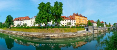 Slovenya 'nın Ljubljanica nehrinin kıyısında.