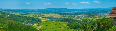 Aerial view of vineyards at Dolejnska region of Slovenia clipart