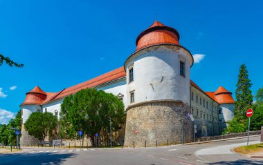 Slovenya 'da güneşli bir günde Brezice kalesi