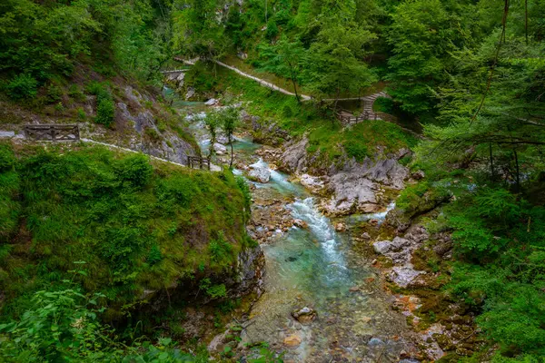 Tolmin vadisi Slovenya 'da bir yaz sabahı boyunca