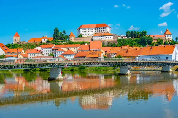 Sloven kenti Ptuj 'un Panorama manzarası