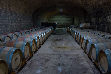 Telavi, Gürcistan, 28 Ağustos 2023: Gürcistan 'daki Tsinandali Malikanesi' nde şarap mahzeni