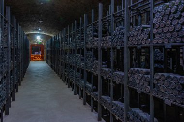 Telavi, Gürcistan, 28 Ağustos 2023: Gürcistan 'daki Tsinandali Malikanesi' nde şarap mahzeni