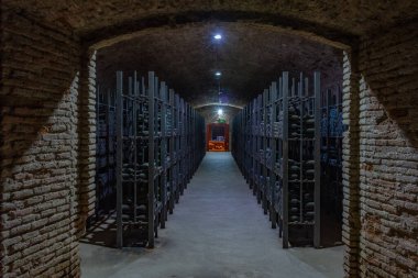 Telavi, Gürcistan, 28 Ağustos 2023: Gürcistan 'daki Tsinandali Malikanesi' nde şarap mahzeni