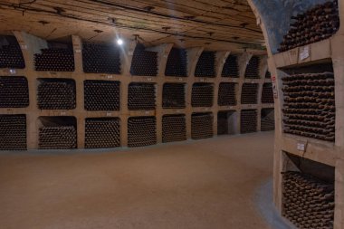 Milesti Mici, Moldova, 27 Ağustos 2023: Moldova 'daki Milestii Mici şarap mahzenleri