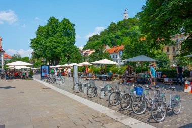 Ljubljana, Slovenya, 18 Haziran 2023: İnsanlar Ljubljana, Slovenya 'daki bir nehir kenarı bit pazarında geziniyorlar