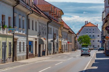 Ribnica, Slovenya, 24 Haziran 2023: Slovenya 'nın Ribnica kasabasının merkezinde renkli bir cadde