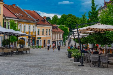 Novo Mesto, Slovenya, 24 Haziran 2023: Slovenya 'nın Novo Mesto kentinde Glavni trg meydanı