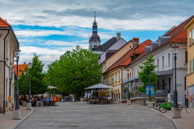Novo Mesto, Slovenya, 24 Haziran 2023: Slovenya 'nın Novo Mesto kentinde Glavni trg meydanı