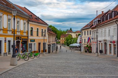 Novo Mesto, Slovenya, 24 Haziran 2023: Slovenya 'nın Novo Mesto kentinde Glavni trg meydanı