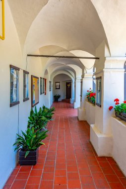 Olimje, Slovenya, 25 Haziran 2023: Slovenya 'daki Olimje manastırının içi