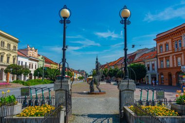 Presov, Slovakya, 15 Temmuz 2024: Presov, Slovakya 'daki ana meydanda renkli evler.
