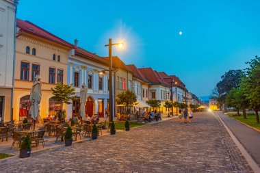 Levoca, Slovakya, 15 Temmuz 2024: Levoca, Slovakya 'daki ana meydanda renkli evler.