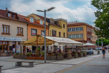 Zvolen, Slovakya, 17 Temmuz 2024: Slovakya Ulusal Ayaklanma Meydanı Panoraması