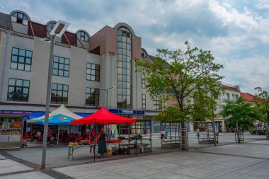 Zvolen, Slovakya, 17 Temmuz 2024: Slovakya Ulusal Ayaklanma Meydanı Panoraması