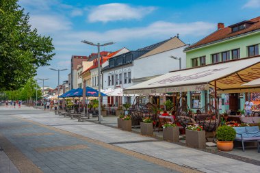 Zvolen, Slovakya, 17 Temmuz 2024: Slovakya Ulusal Ayaklanma Meydanı Panoraması