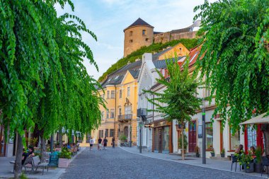 Trencin, Slovakya, 18 Temmuz 2024: Trencin Şatosu 'nun parça kare manzarası, Slovakya.IMAGE