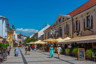 Piestany, Slovakya, 19 Temmuz 2024: İnsanlar Slovakya Piestany.IMAGE şehir merkezinde geziniyor