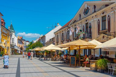 Piestany, Slovakya, 19 Temmuz 2024: İnsanlar Slovakya Piestany.IMAGE şehir merkezinde geziniyor
