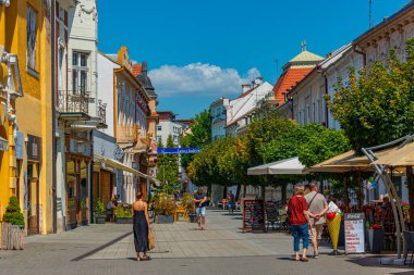 Piestany, Slovakya, 19 Temmuz 2024: İnsanlar Slovakya Piestany.IMAGE şehir merkezinde geziniyor