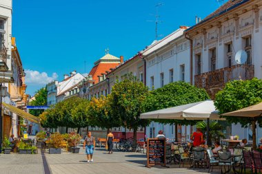 Piestany, Slovakya, 19 Temmuz 2024: İnsanlar Slovakya Piestany.IMAGE şehir merkezinde geziniyor