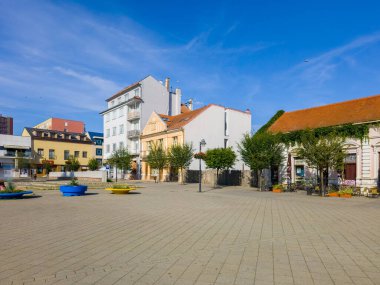Topolcany, Slovakya, 23 Temmuz 2024: Topolcany, Slovakya 'daki Miroslava Rastislva Stefanika Meydanı' nda yaz günü.