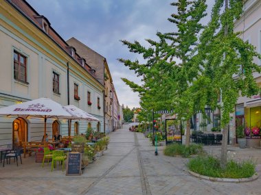 Nitra, Slovakya, 23 Temmuz 2024: Slovakya 'nın Nitra kentindeki ticaret caddesi.