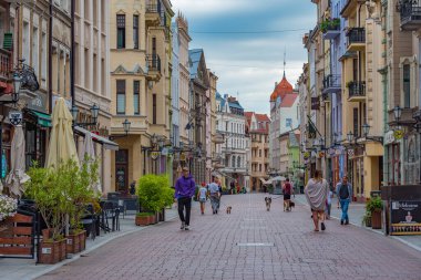 Torun, Polonya, 11 Ağustos 2024: Torun, Poland.IMAGE 'in merkezinde bir yayanın gün batımı manzarası