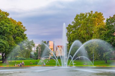 Poznan, Polonya, 15 Ağustos 2024: Poznan, Poland.IMAGE 'deki Mickiewicz parkında gün batımı manzarası