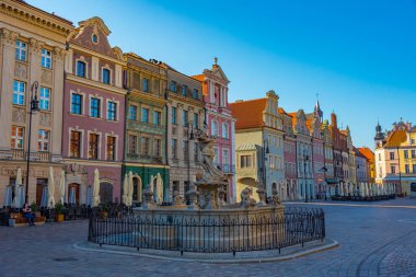 Poznan, Polonya, 16 Ağustos 2024: Proserpine Fountain 'in gün doğumu manzarası ve Poznan Poznan' daki Stary Rynek Meydanı 'ndaki renkli evler.