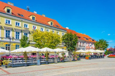 Gniezno, Polonya, 16 Ağustos 2024: Gniezno, Poland.IMAGE 'de yaz günü