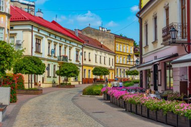 Tarnow, Polonya, 21 Ağustos 2024: Tarnow, Poland.IMAGE 'in merkezinde yaya sokağı