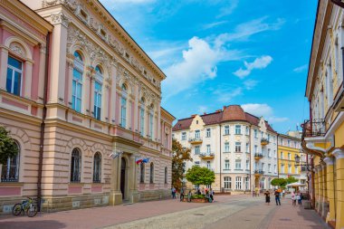 Tarnow, Polonya, 21 Ağustos 2024: Tarnow, Poland.IMAGE 'in merkezinde yaya sokağı