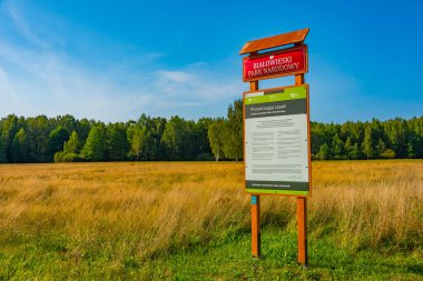 Bialowieza, Polonya, 23 Ağustos 2024: Poland.IMAGE 'deki Bialowieza Ulusal Parkı Meadow
