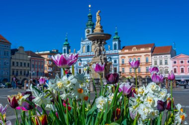 Ceske Budejovice, Çek Cumhuriyeti, 27 Nisan 2024: Çek Cumhuriyeti 'nin Ceske Budejovice kentinin ana meydanı.
