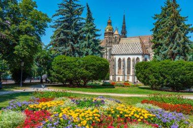 Kosice, Slovakya 'daki Aziz Elisabeth Katedrali ve Aziz Michael Şapeli.
