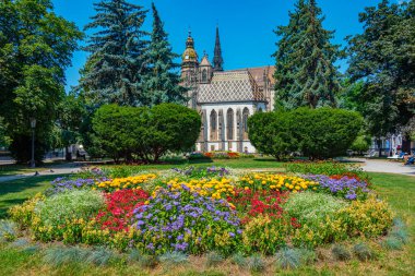 Kosice, Slovakya 'daki Aziz Elisabeth Katedrali ve Aziz Michael Şapeli.