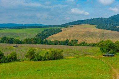 Slovakya 'daki ölüm vadisinin doğal manzarası.