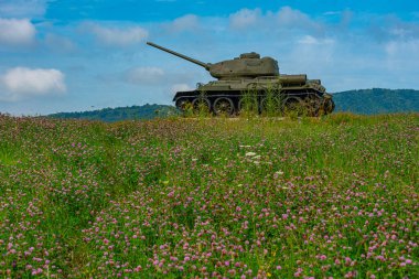 Dünya Savaşı tankı Slovakya 'daki Ölüm Vadisi' nde.